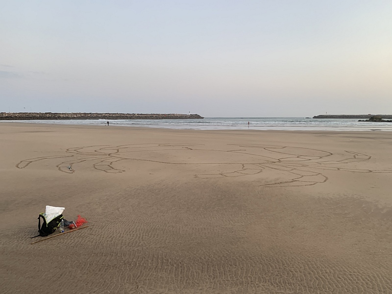 Morocco Rake Art